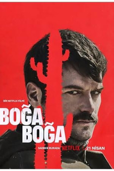 Boğa Boğa
