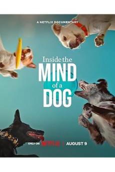 Köpeklerin Aklından Neler Geçiyor?