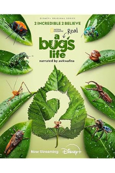 Gerçek Bir Böceğin Yaşamı